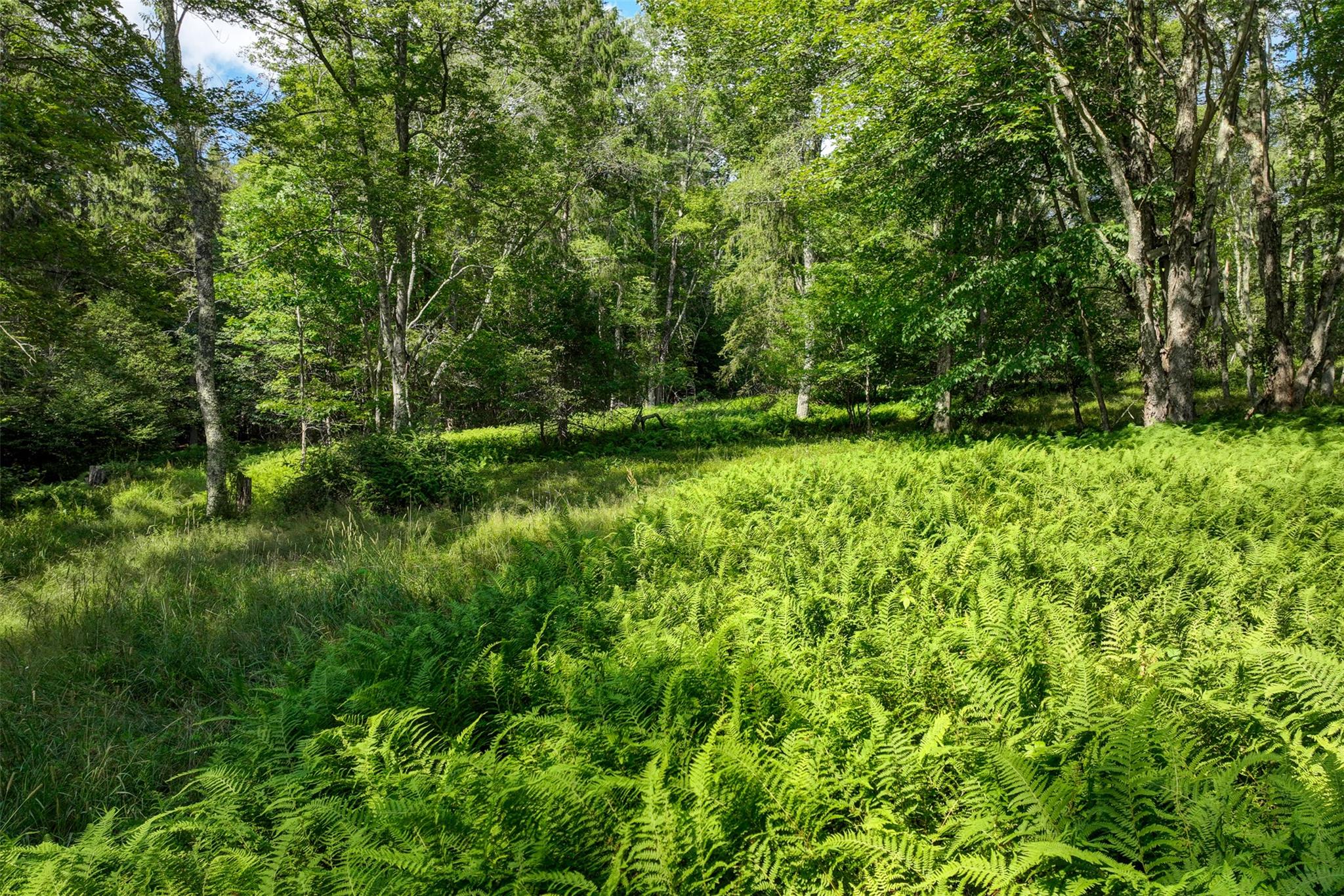 821 Berry Brook Road, Roscoe, NY 12776