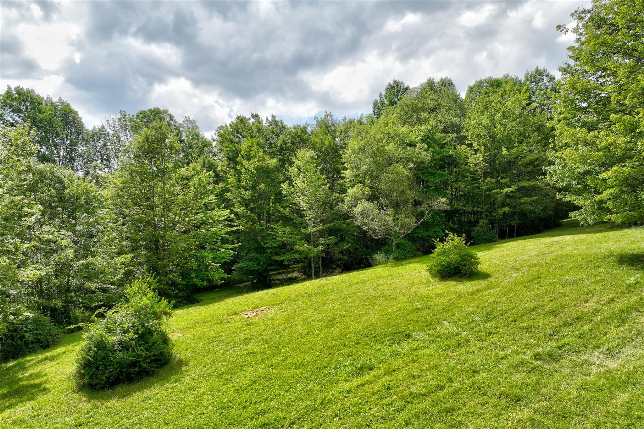 821 Berry Brook Road, Roscoe, NY 12776