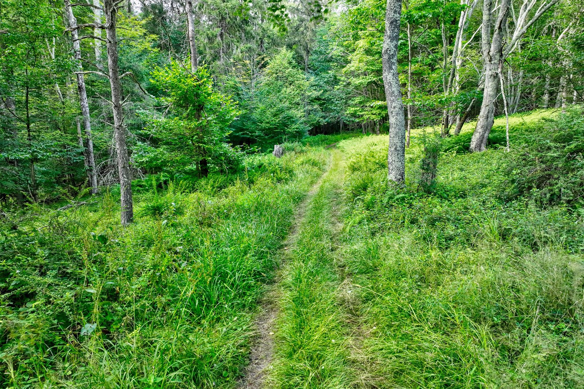 821 Berry Brook Road, Roscoe, NY 12776