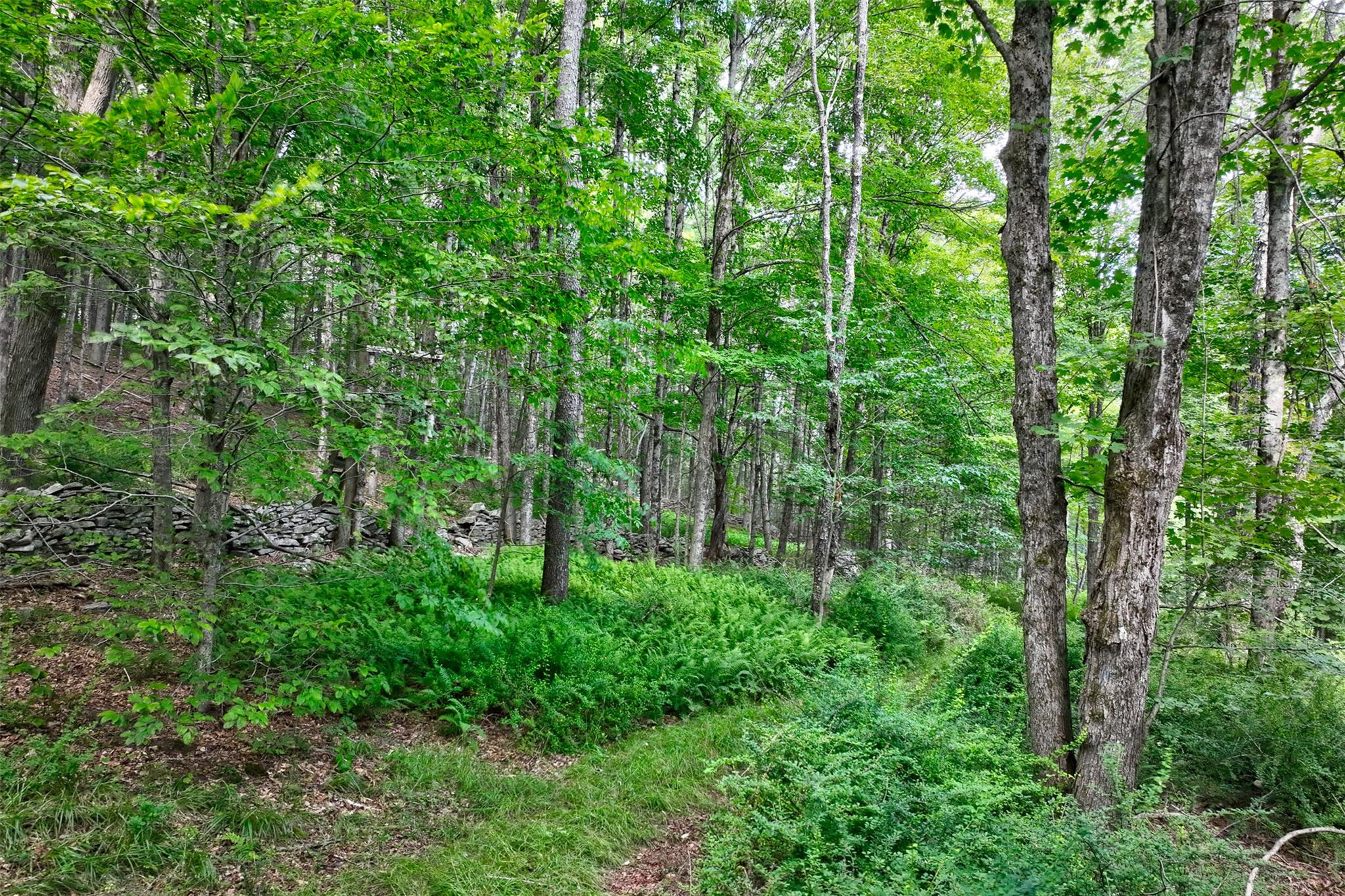 821 Berry Brook Road, Roscoe, NY 12776