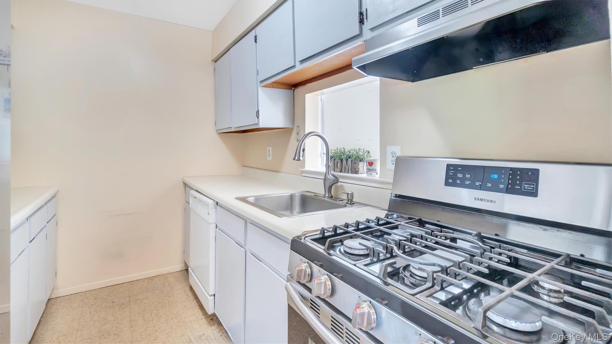 224 Pointe Circle N # 224, Coram, NY 11727