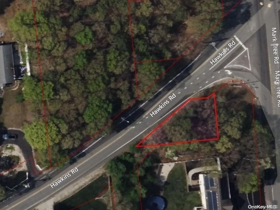 Forest Rd Court, Ronkonkoma, NY 11779