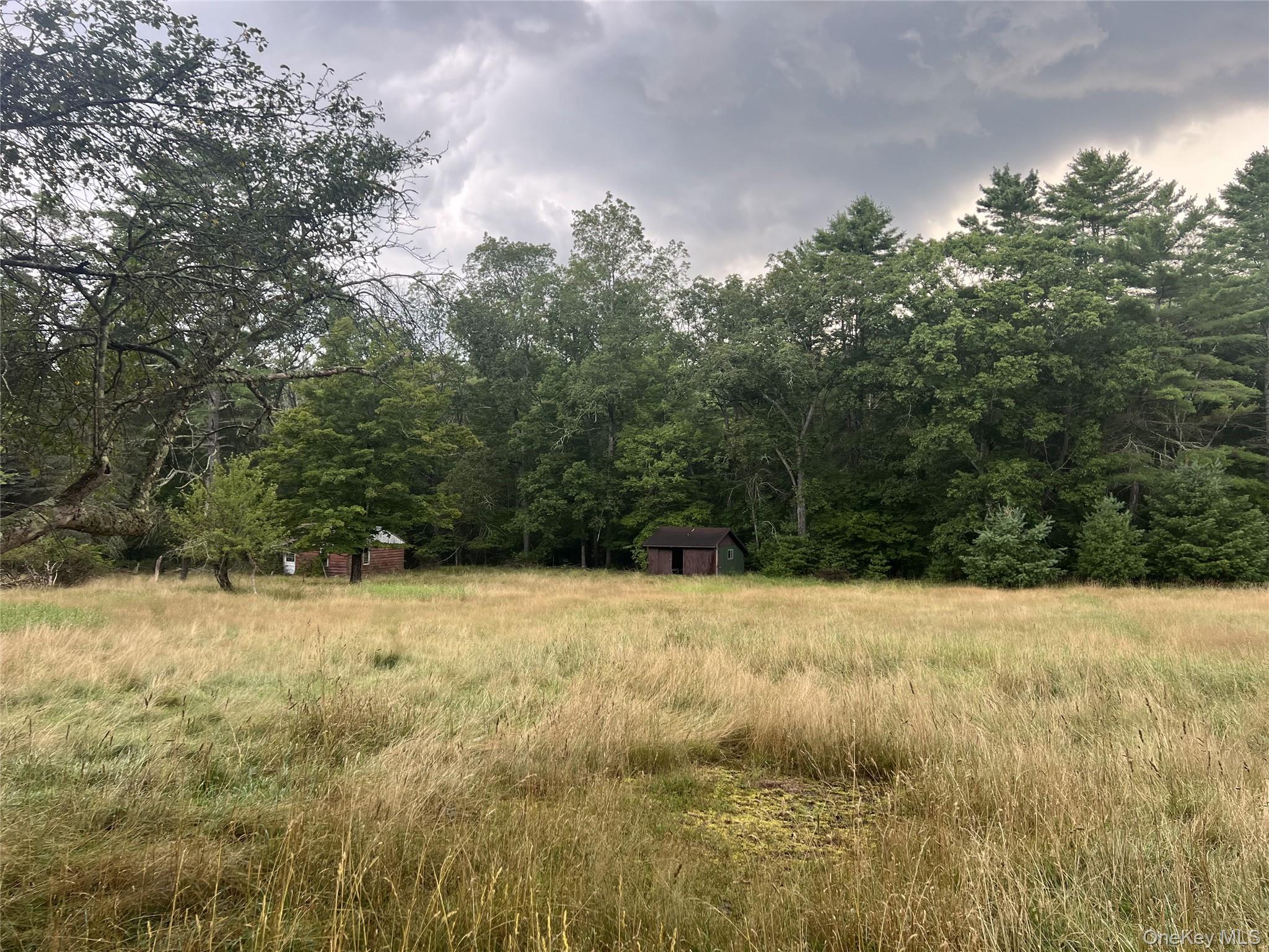 259 Lackawaxen Road, Narrowsburg, NY 12764