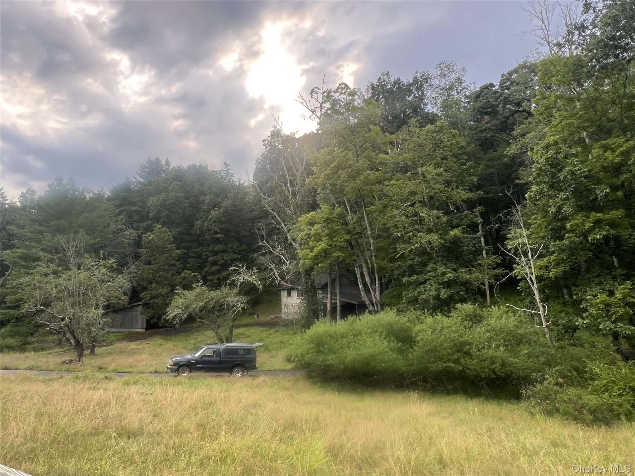 259 Lackawaxen Road, Narrowsburg, NY 12764