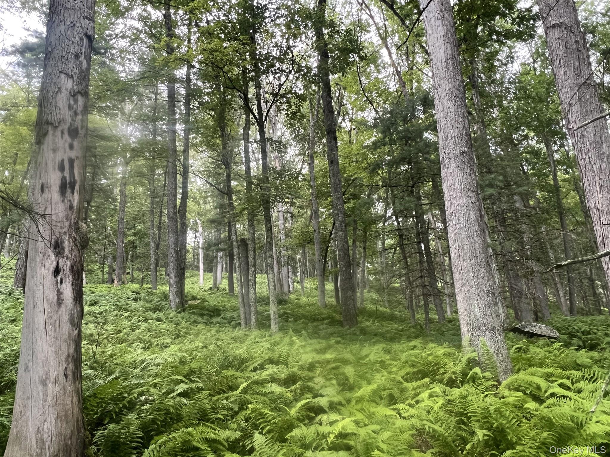 259 Lackawaxen Road, Narrowsburg, NY 12764