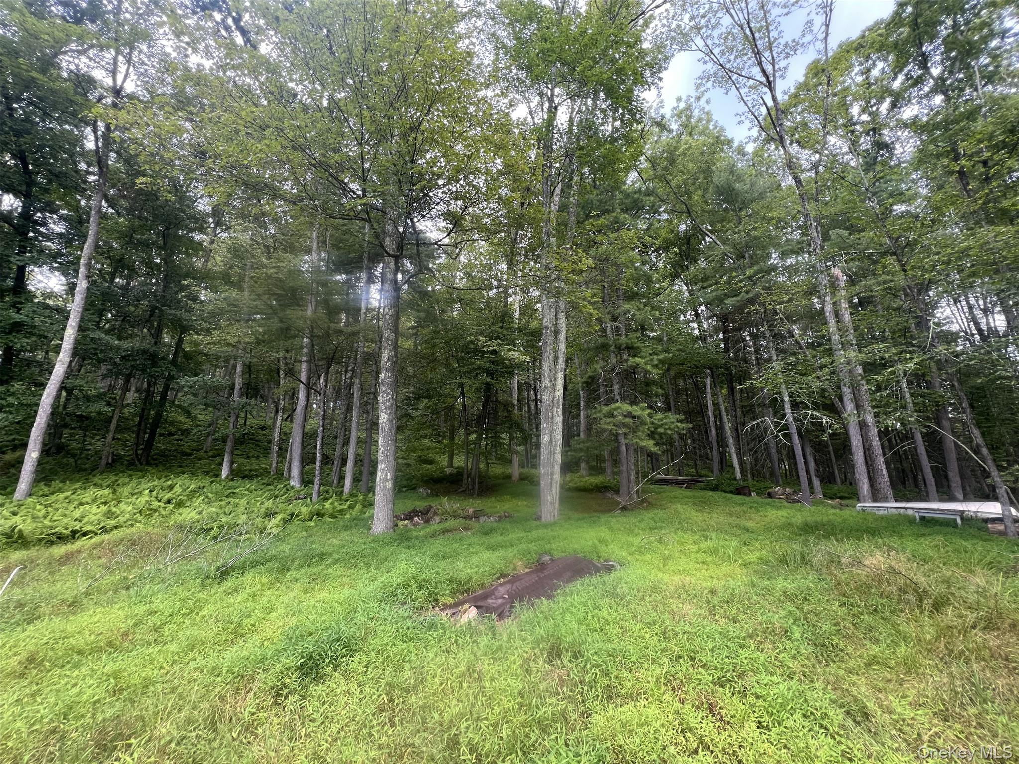 259 Lackawaxen Road, Narrowsburg, NY 12764