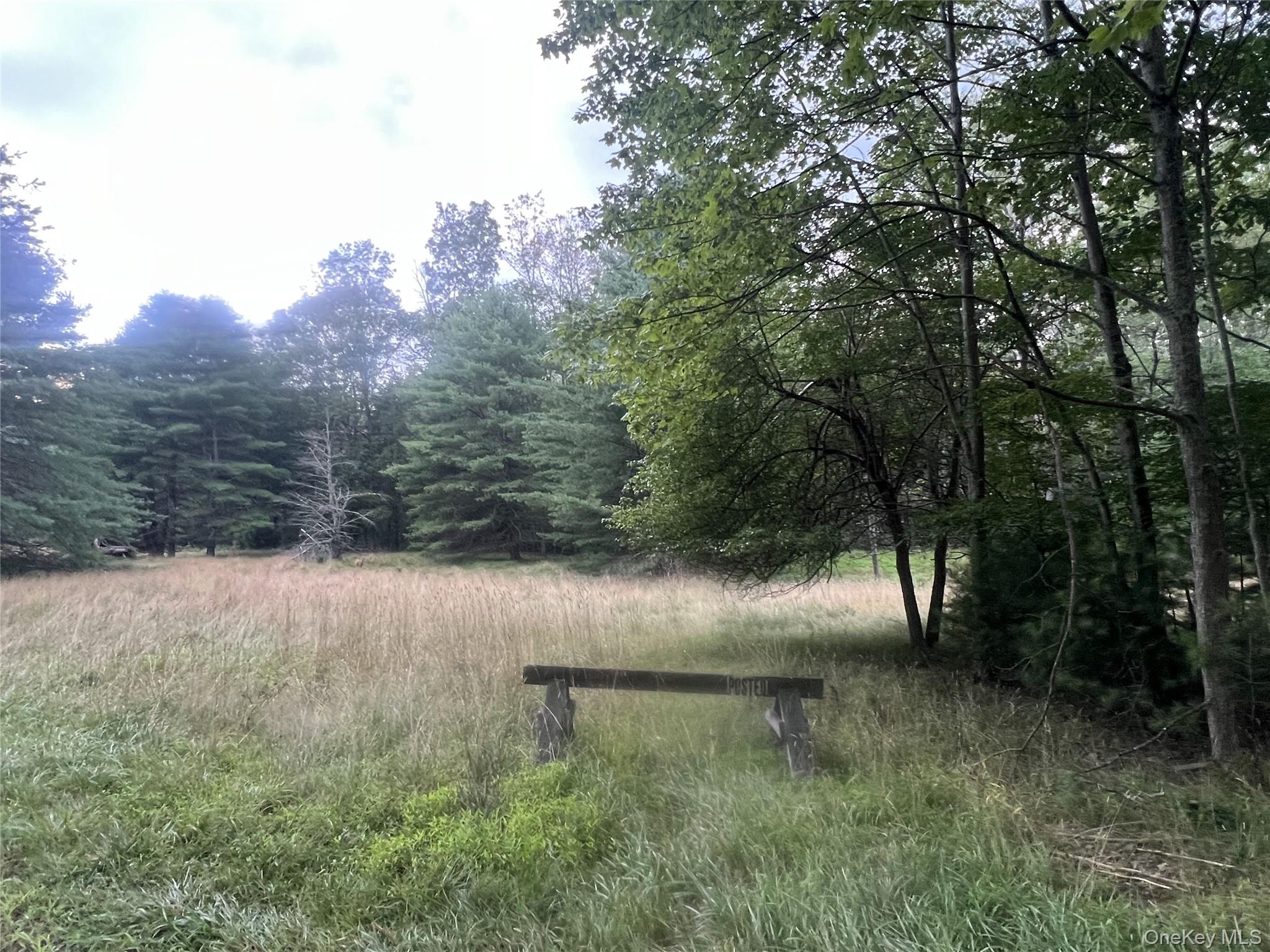 259 Lackawaxen Road, Narrowsburg, NY 12764