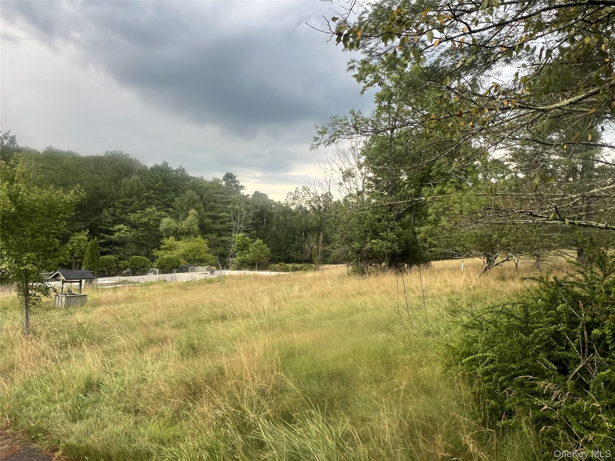 259 Lackawaxen Road, Narrowsburg, NY 12764