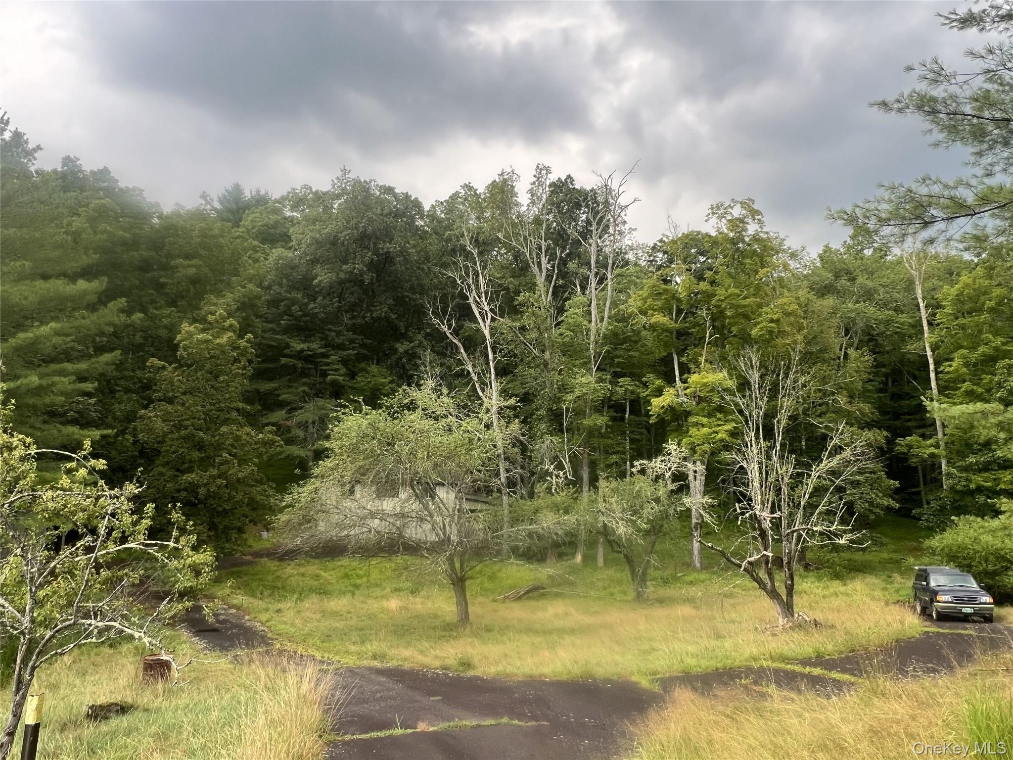 259 Lackawaxen Road, Narrowsburg, NY 12764