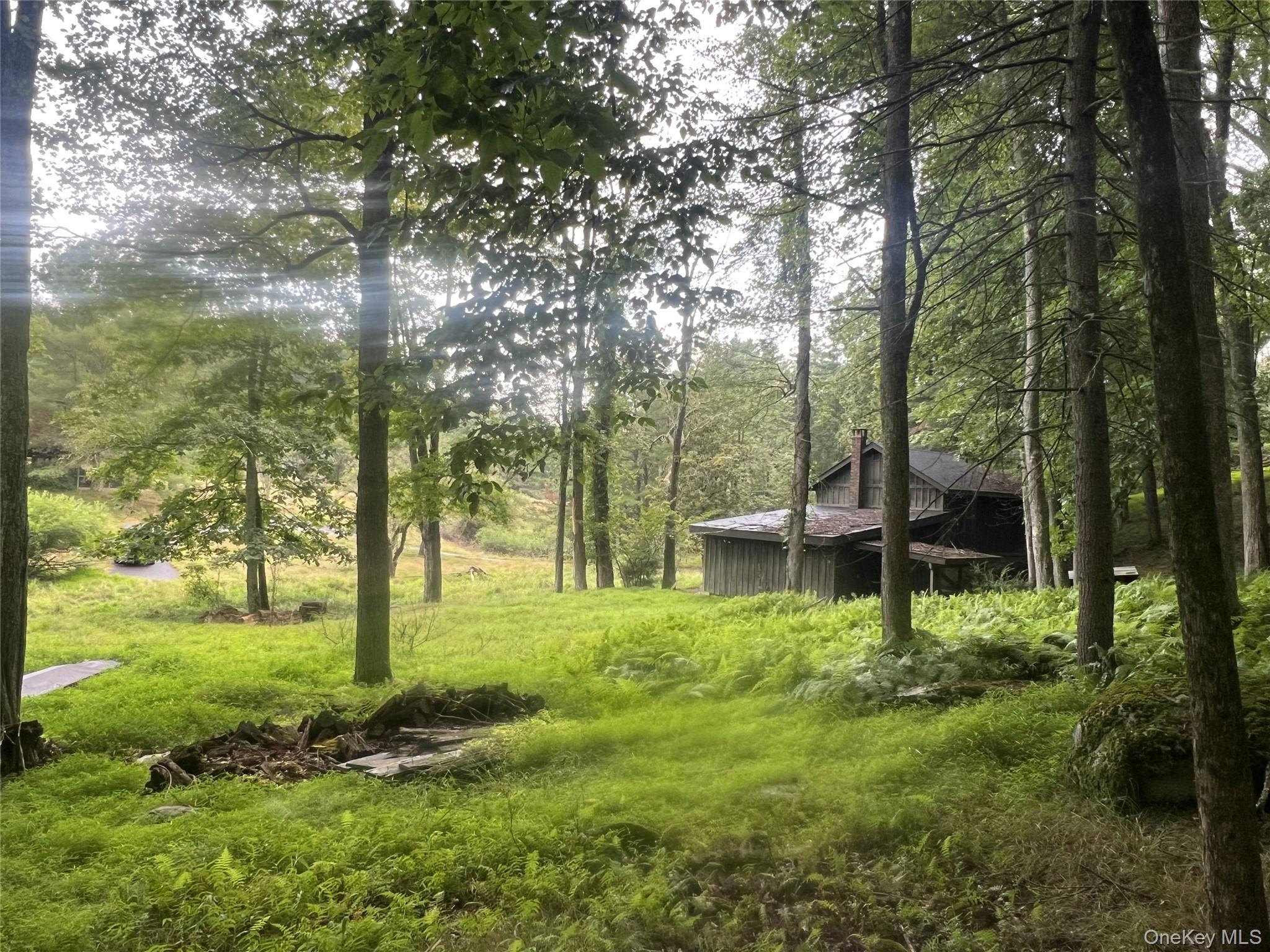 259 Lackawaxen Road, Narrowsburg, NY 12764