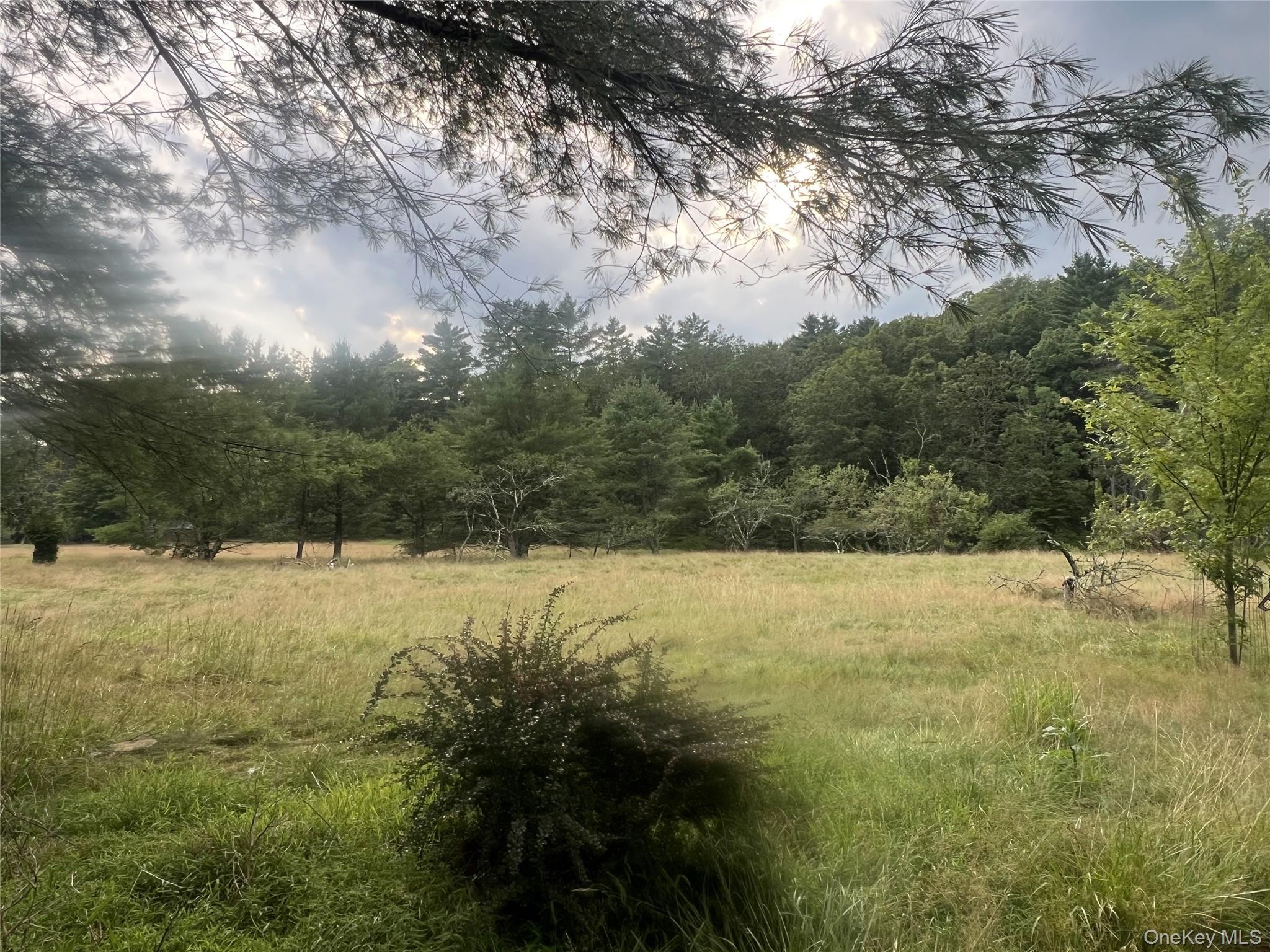 259 Lackawaxen Road, Narrowsburg, NY 12764