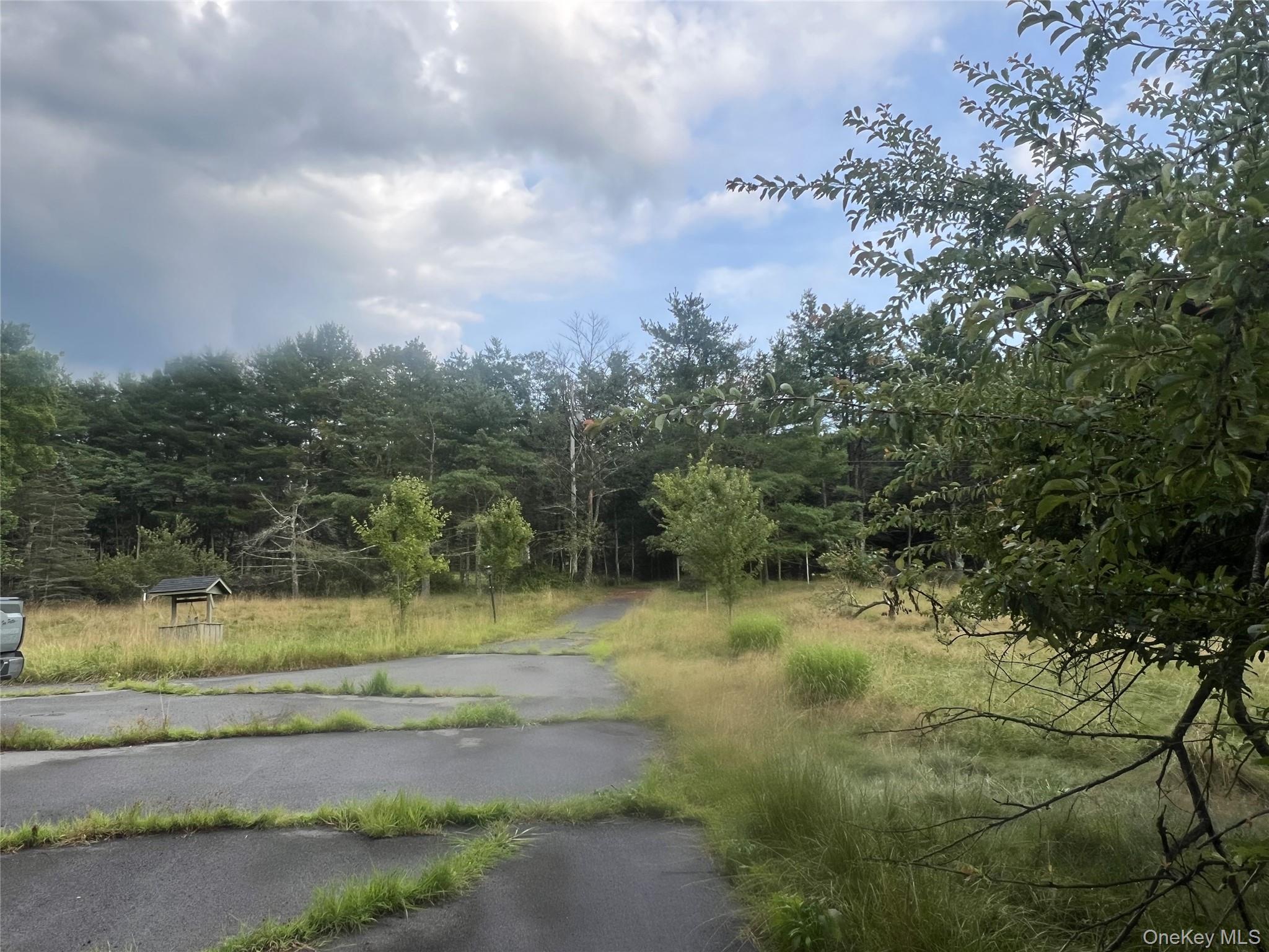 259 Lackawaxen Road, Narrowsburg, NY 12764