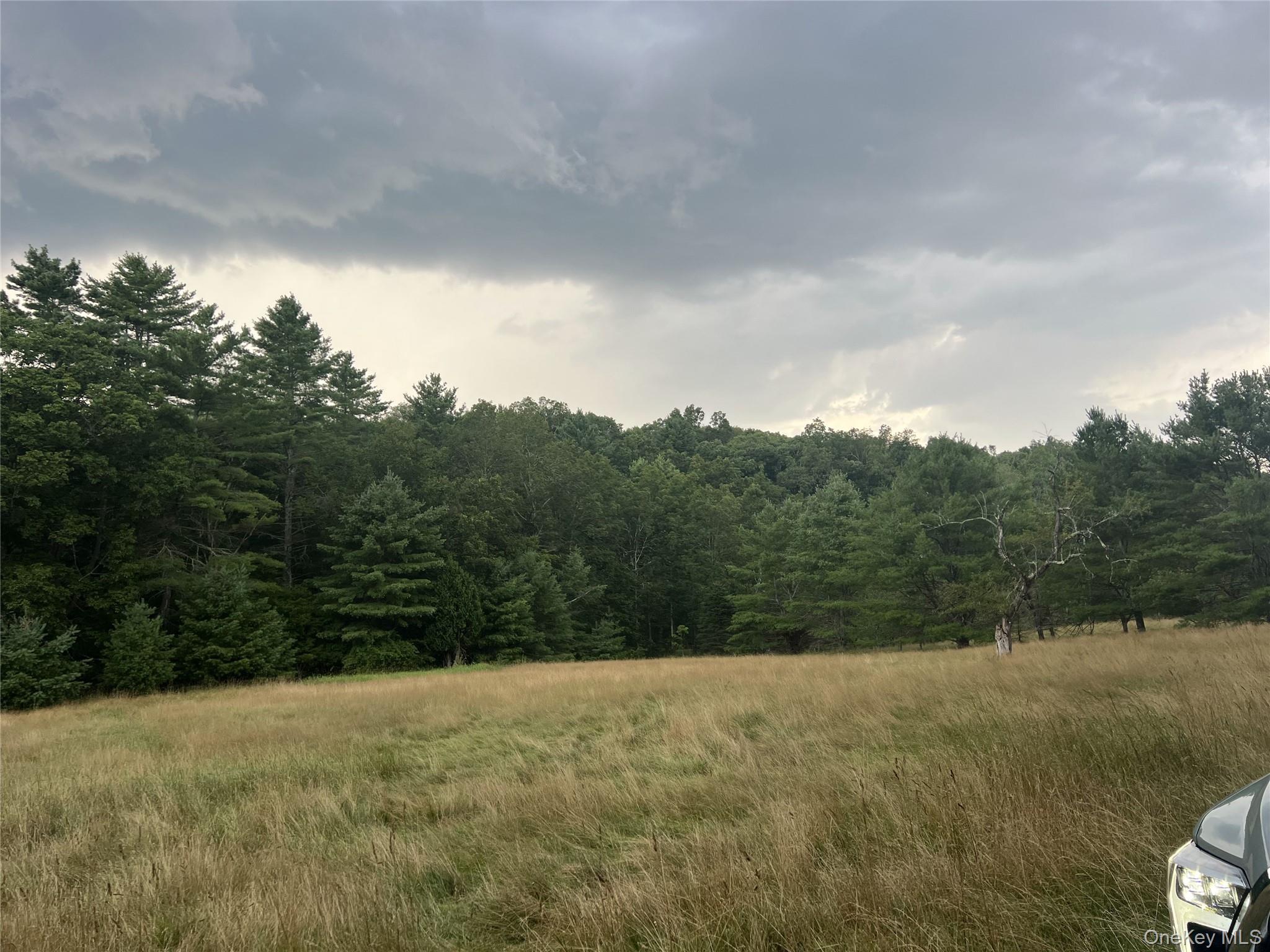 259 Lackawaxen Road, Narrowsburg, NY 12764