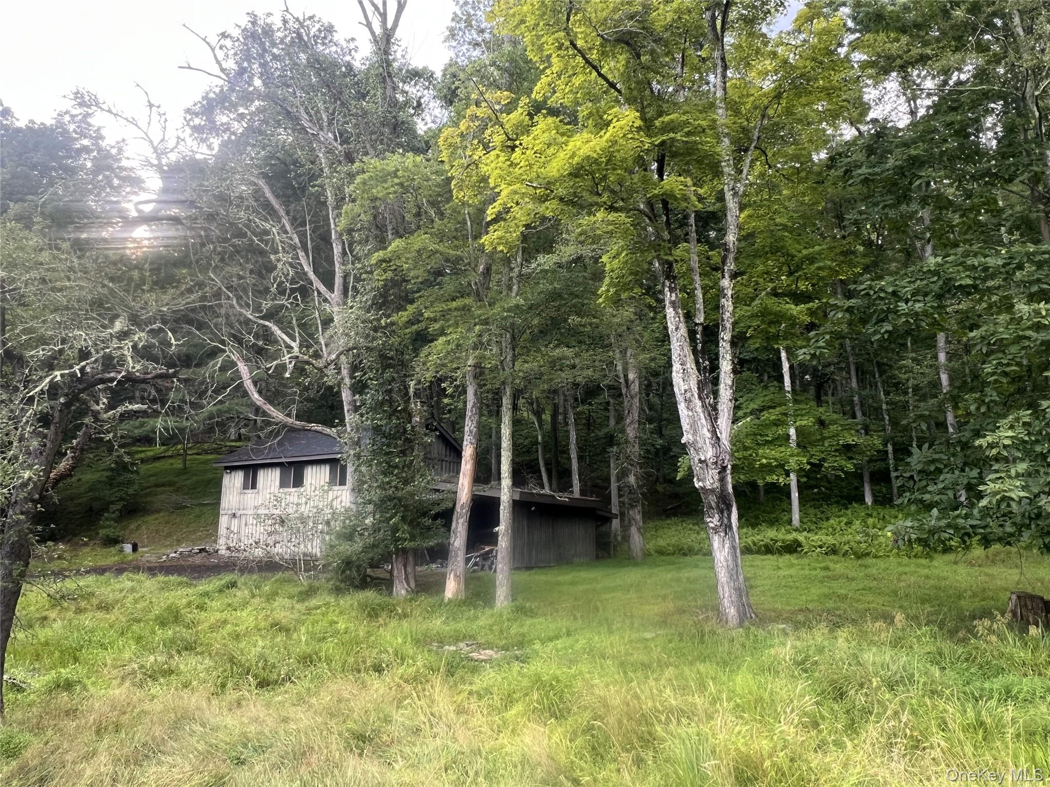 259 Lackawaxen Road, Narrowsburg, NY 12764