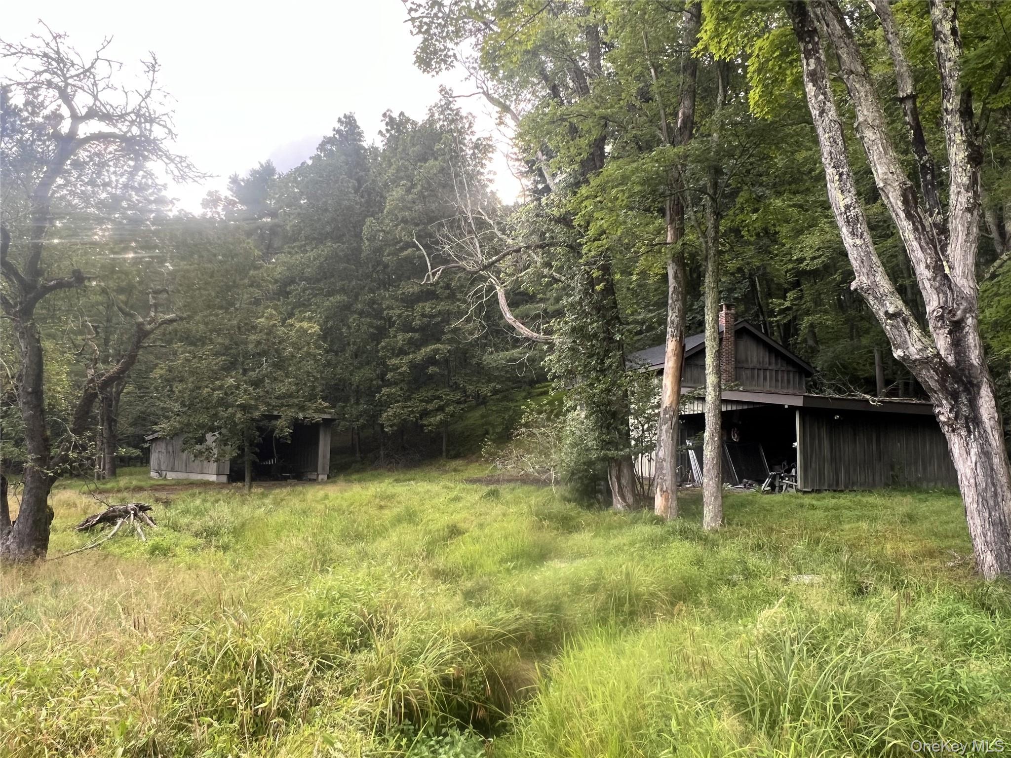 259 Lackawaxen Road, Narrowsburg, NY 12764