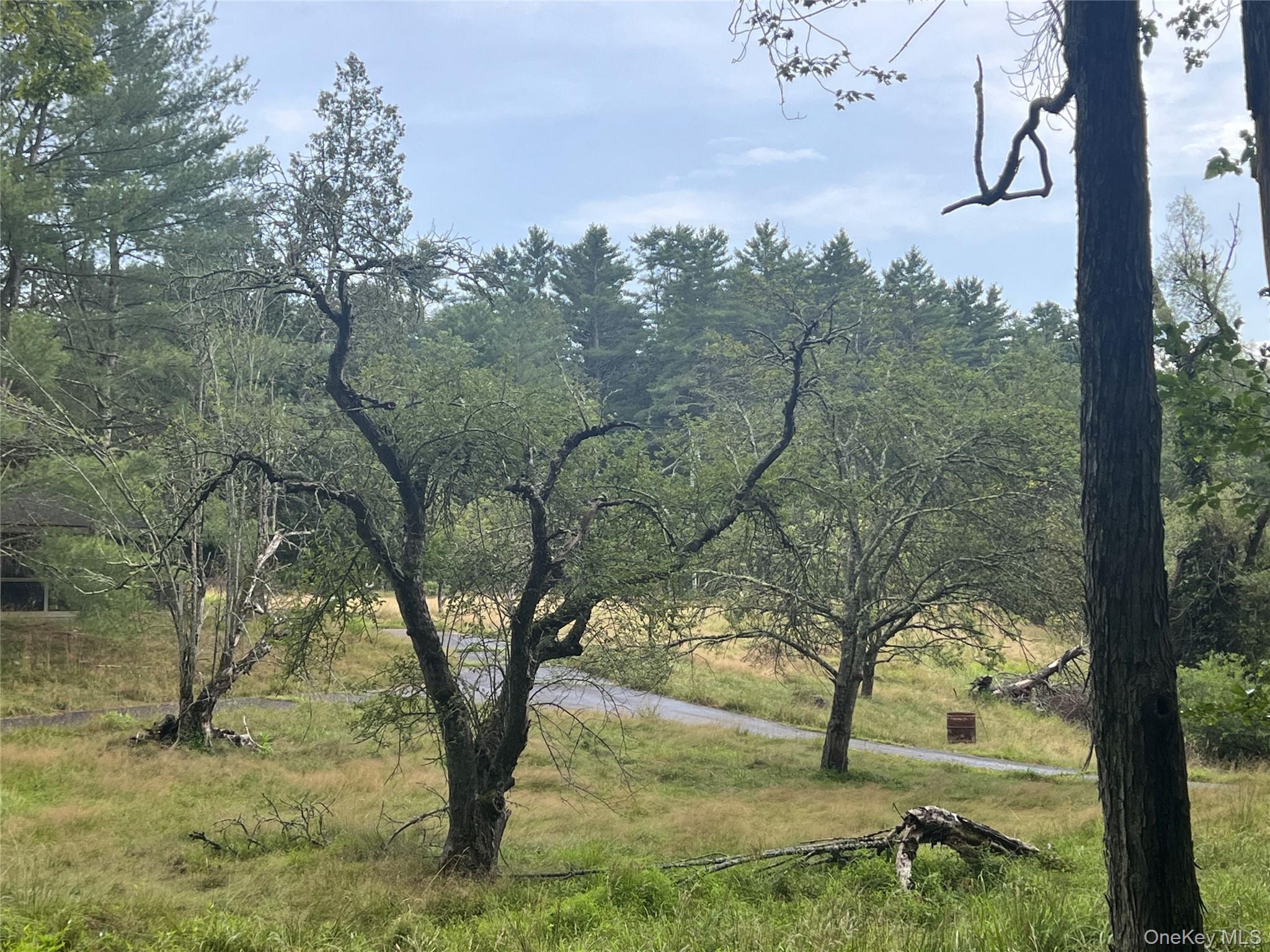 259 Lackawaxen Road, Narrowsburg, NY 12764