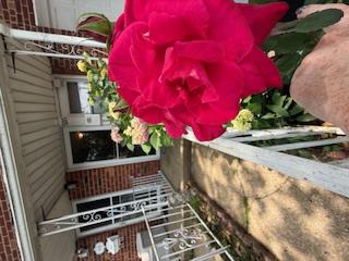 926 Vincent Avenue, Bronx, NY 10465