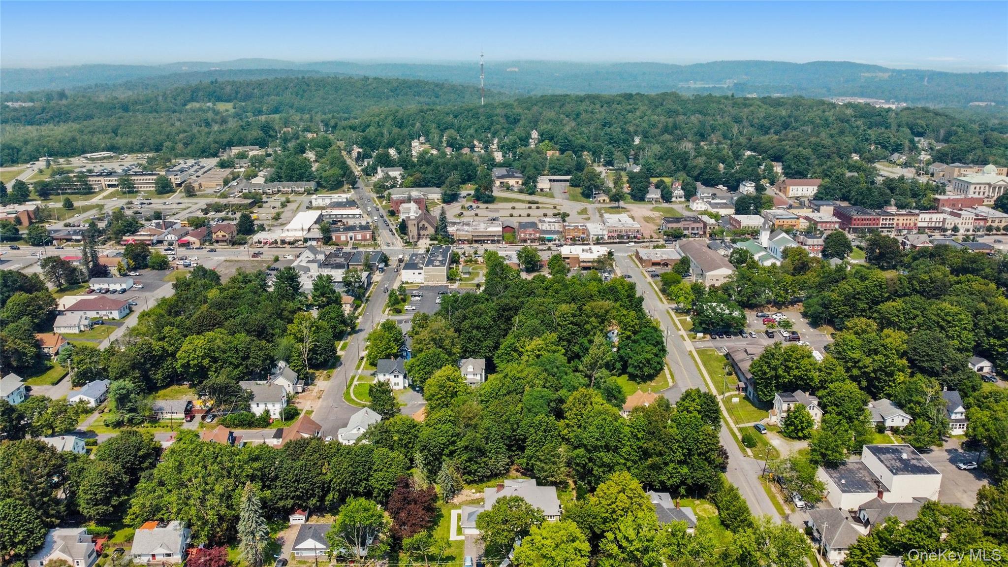 46 Lakewood Avenue, Monticello, NY 12701