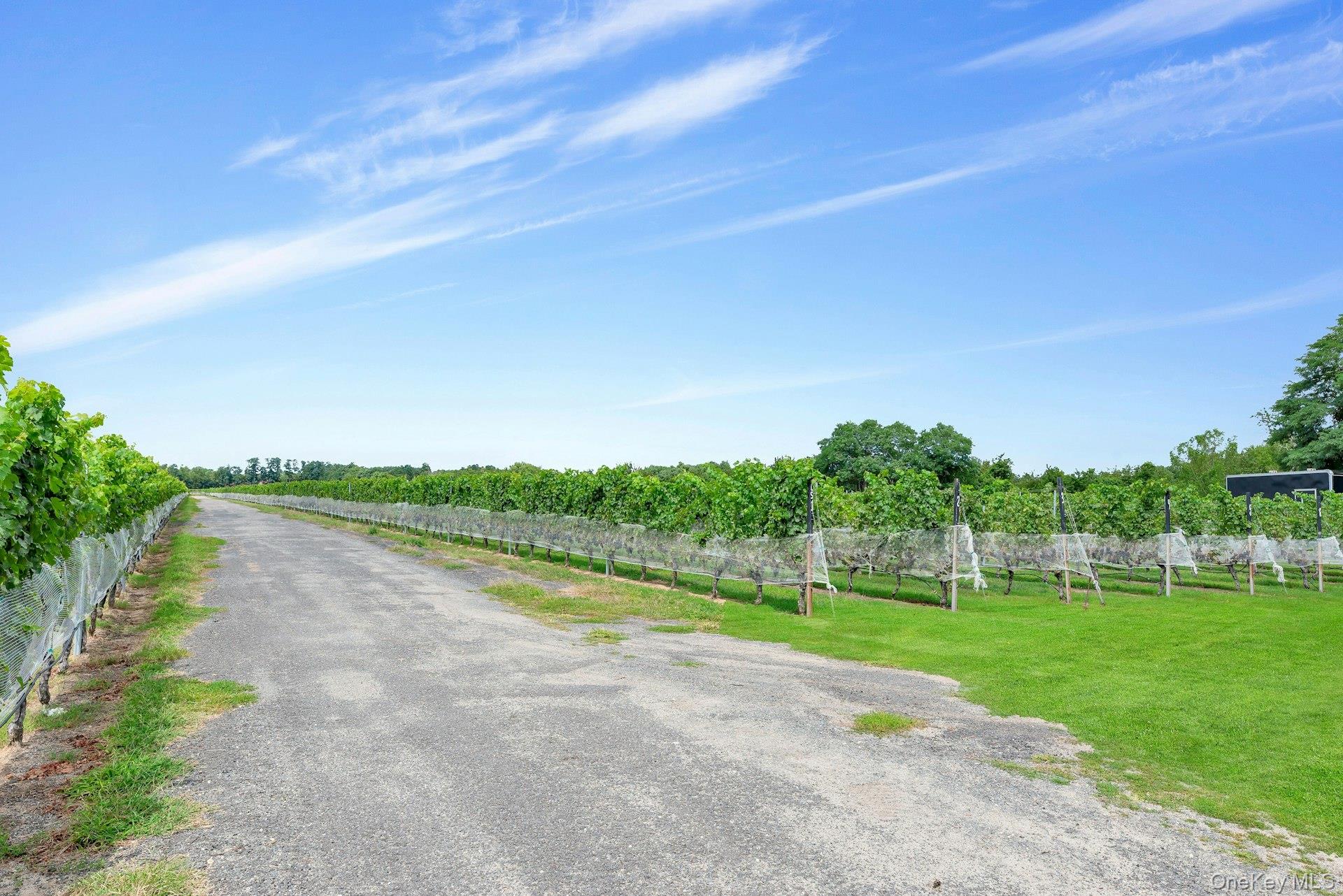 44075 Route 25, Peconic, NY 11971