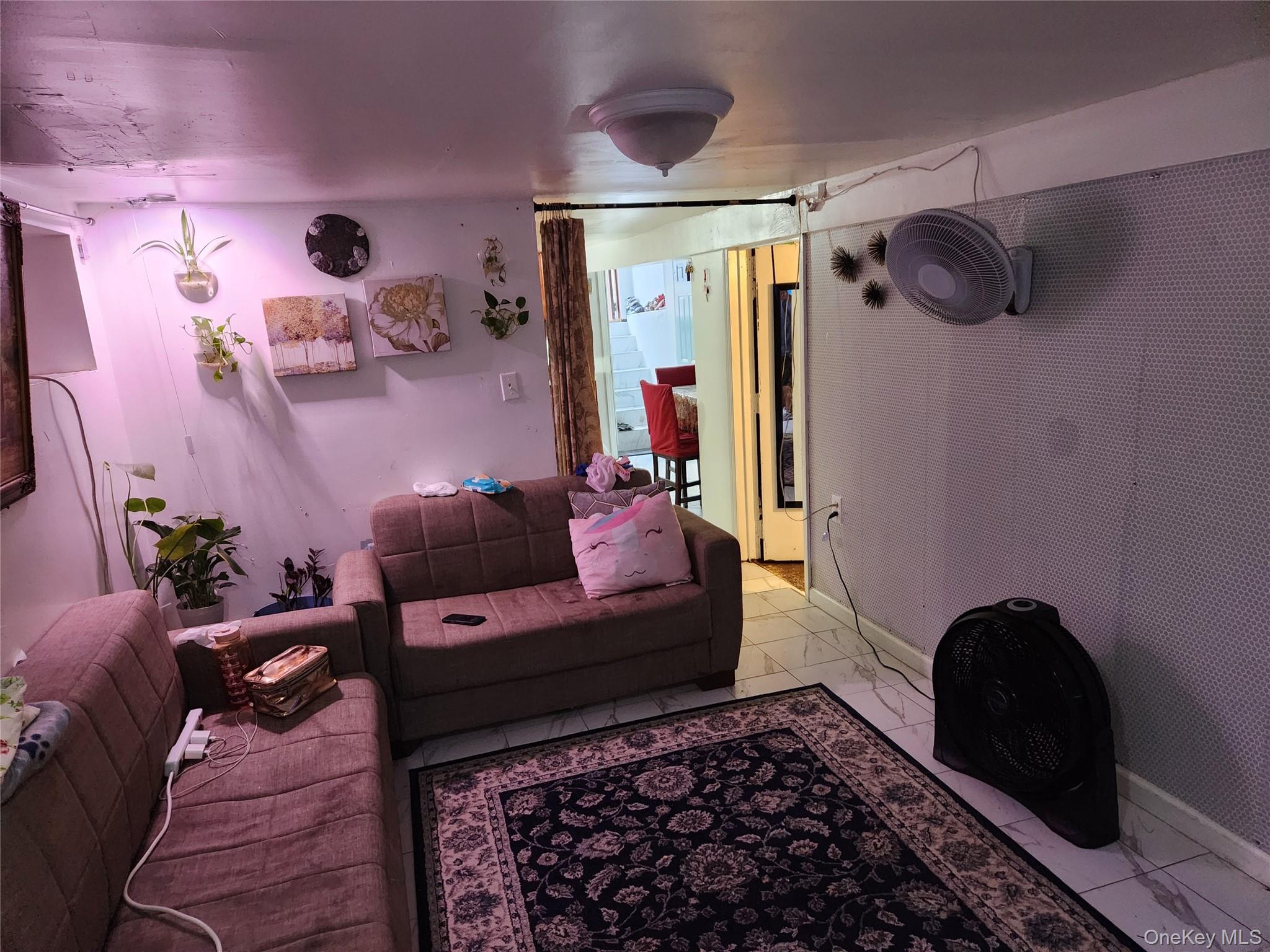 568 Drew Street, Brooklyn, NY 11208