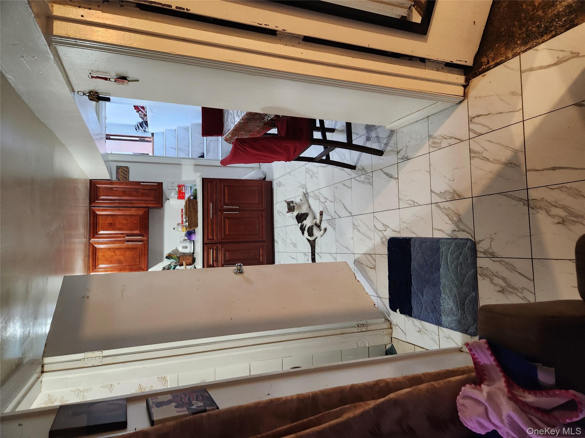 568 Drew Street, Brooklyn, NY 11208