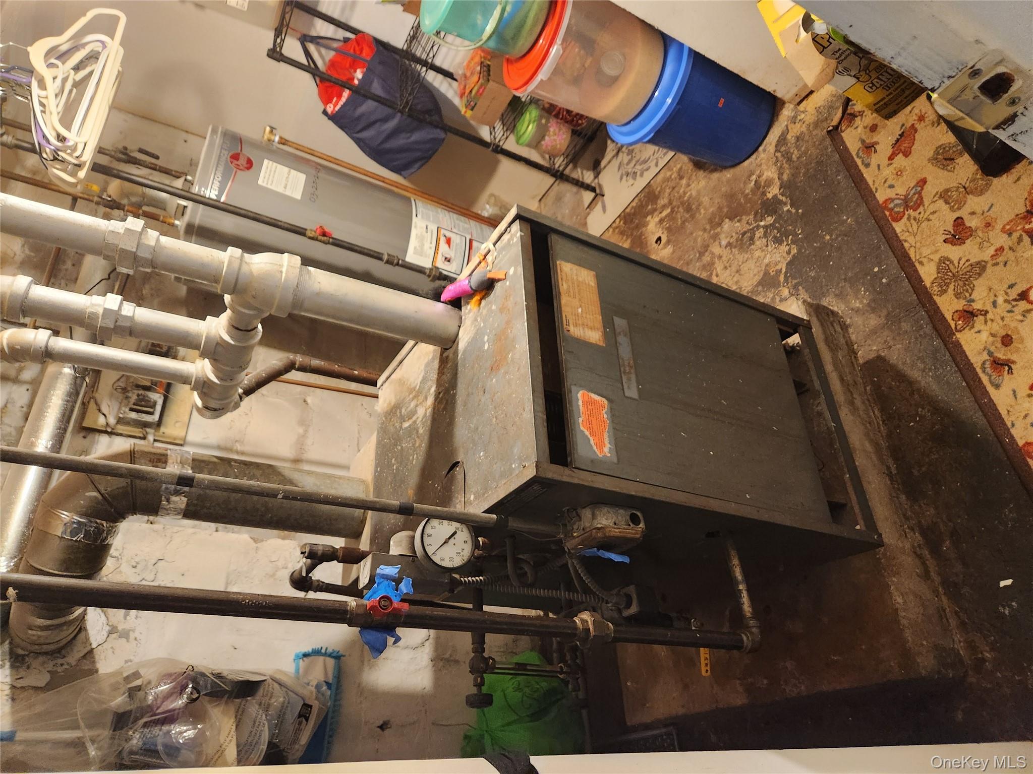 568 Drew Street, Brooklyn, NY 11208