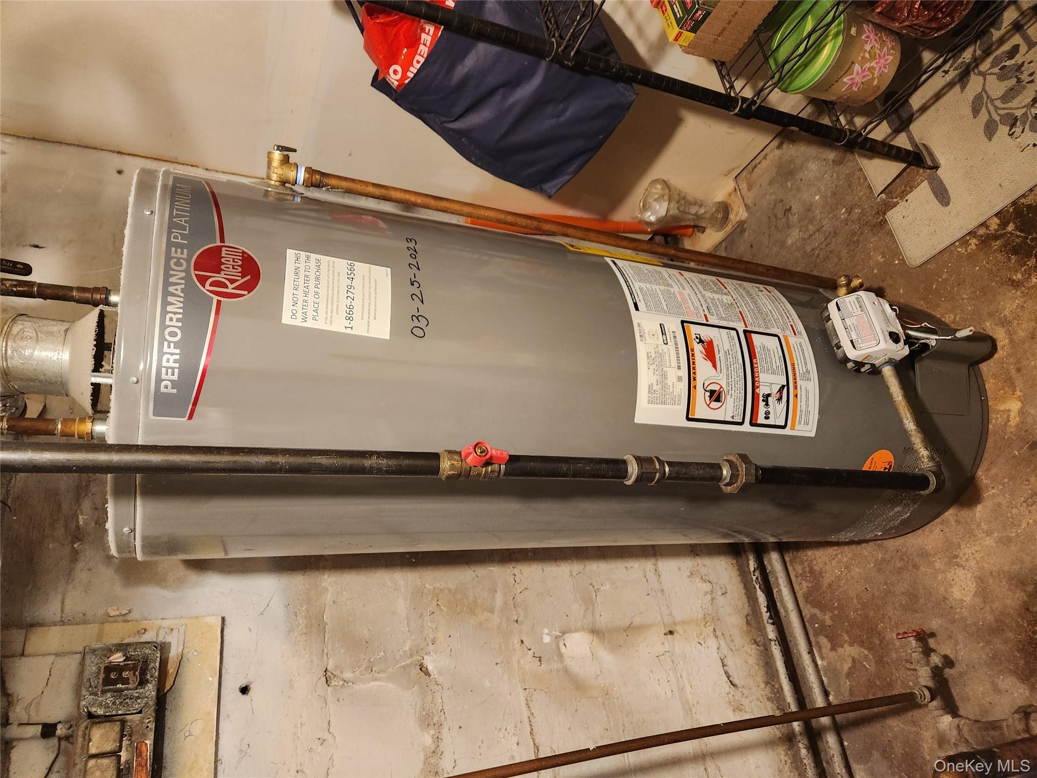 568 Drew Street, Brooklyn, NY 11208