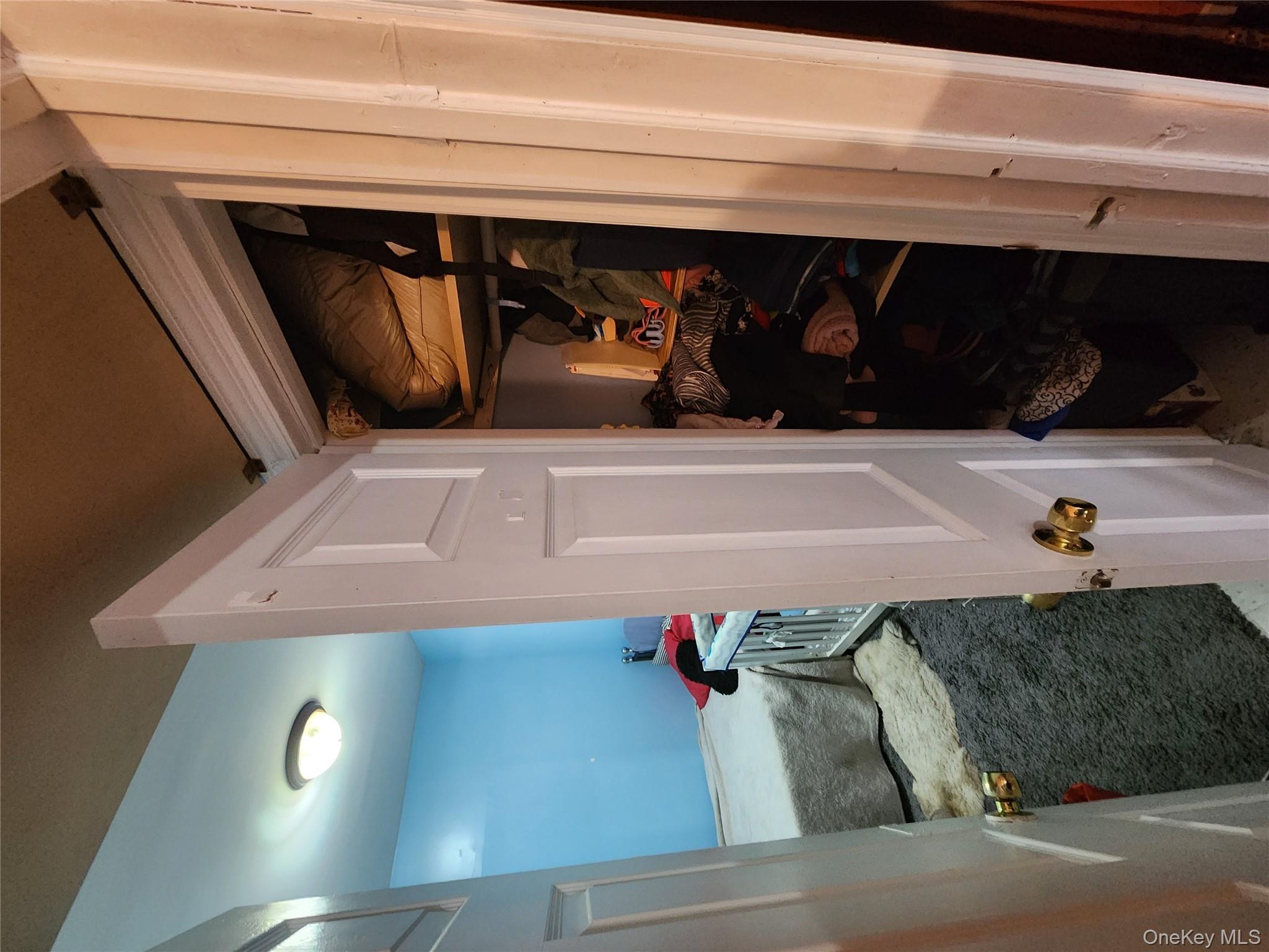 568 Drew Street, Brooklyn, NY 11208