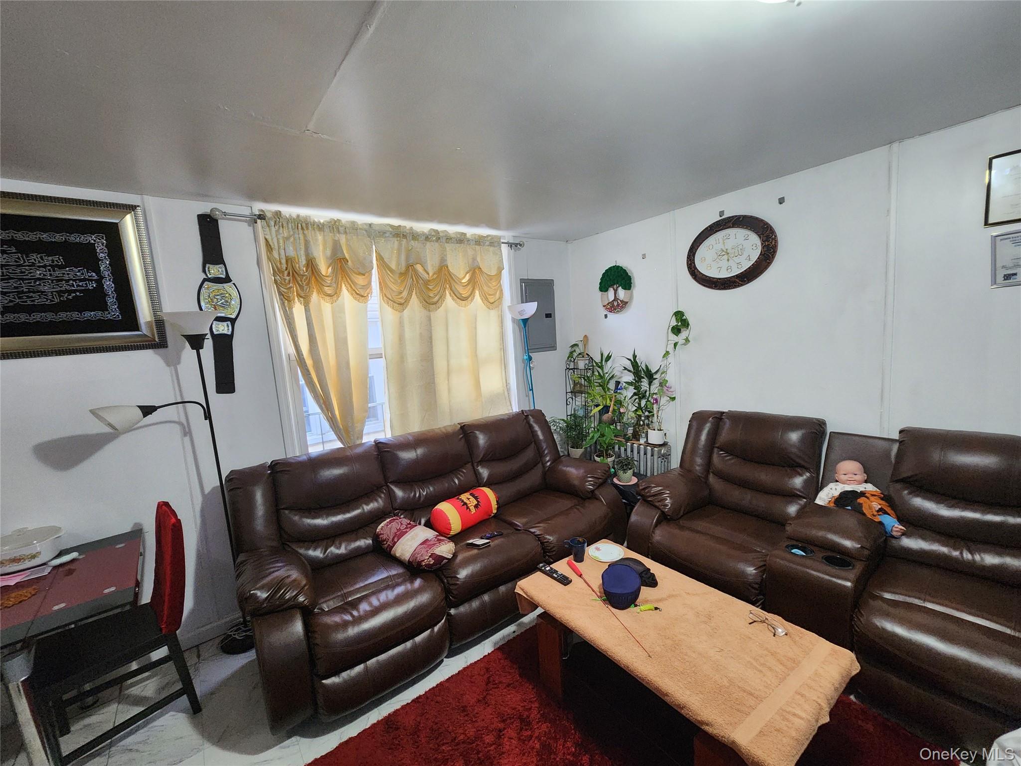 568 Drew Street, Brooklyn, NY 11208