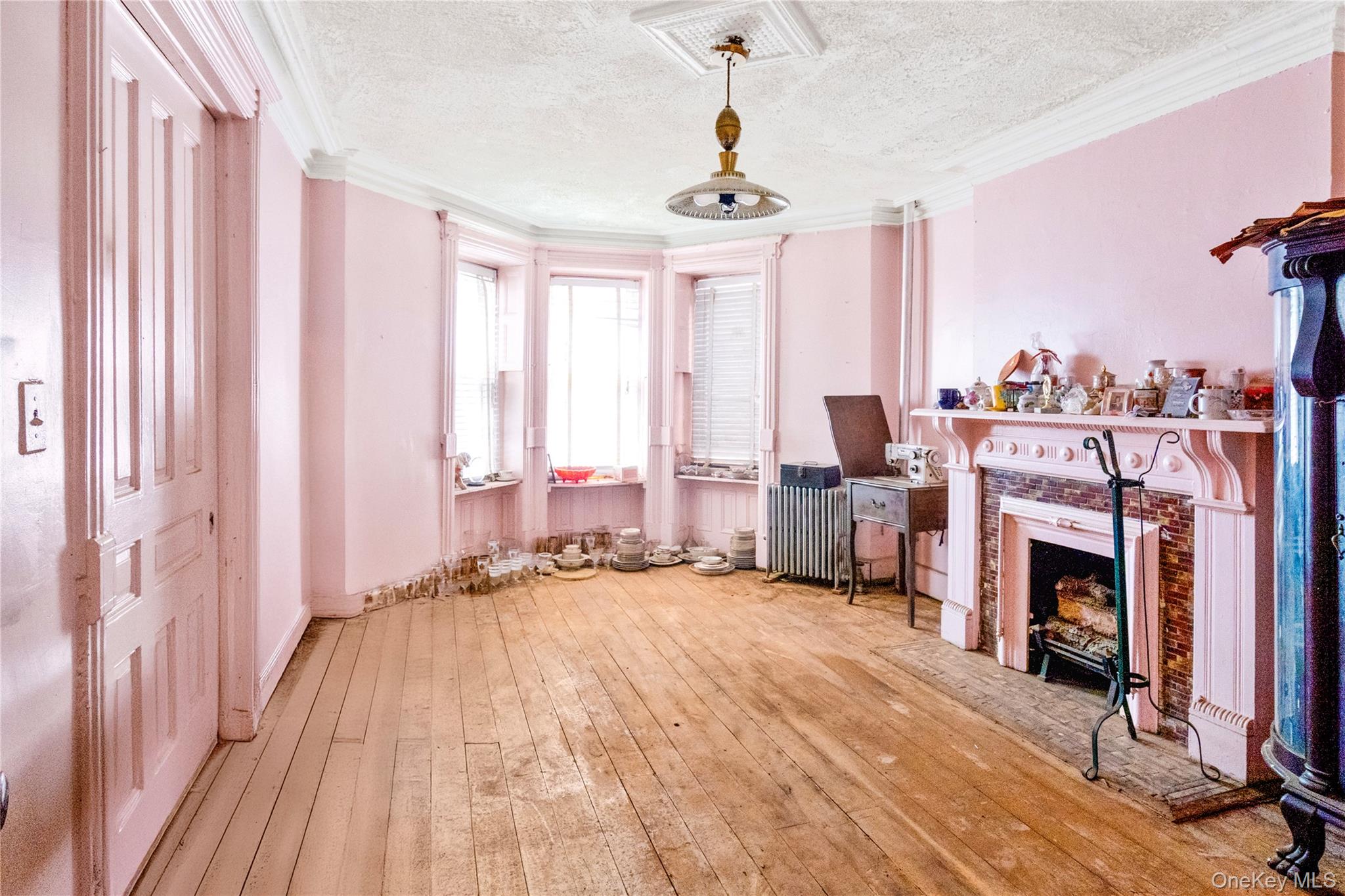 113 Halsey Street, Brooklyn, NY 11216