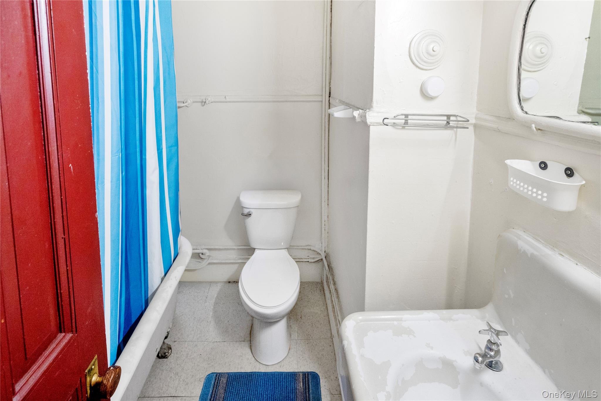 113 Halsey Street, Brooklyn, NY 11216