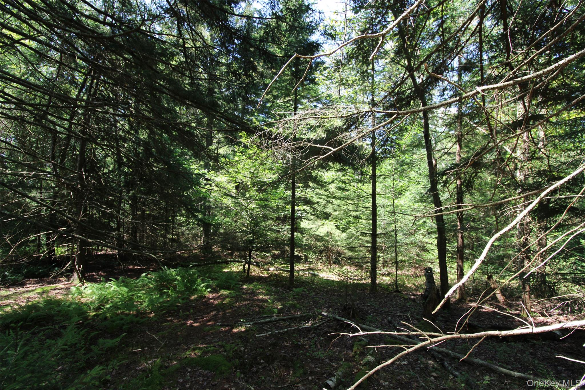 834 Cooley Road, Parksville, NY 12768