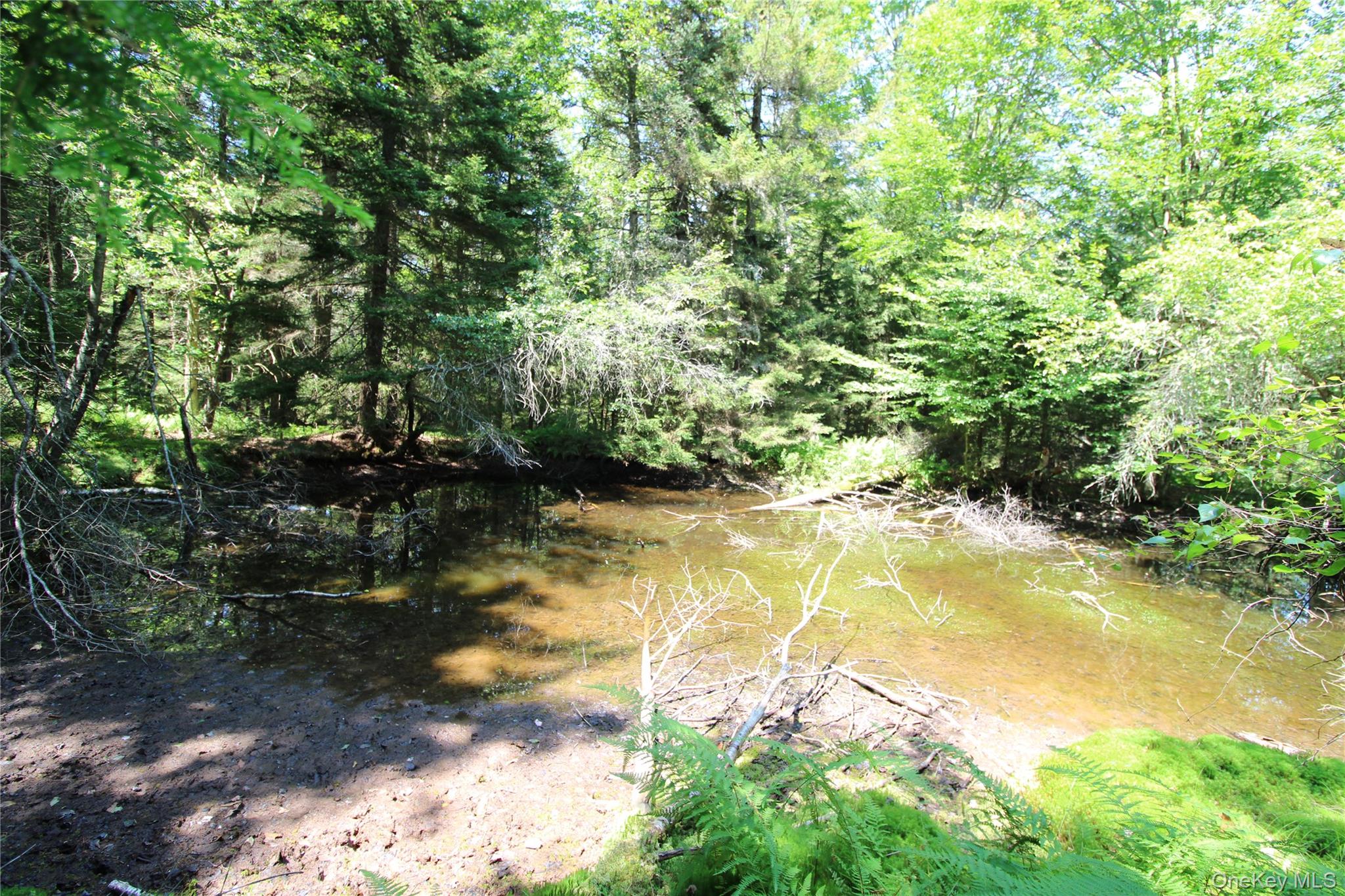 834 Cooley Road, Parksville, NY 12768