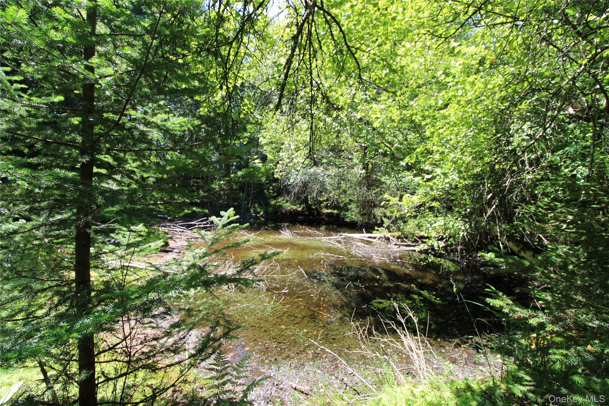 834 Cooley Road, Parksville, NY 12768