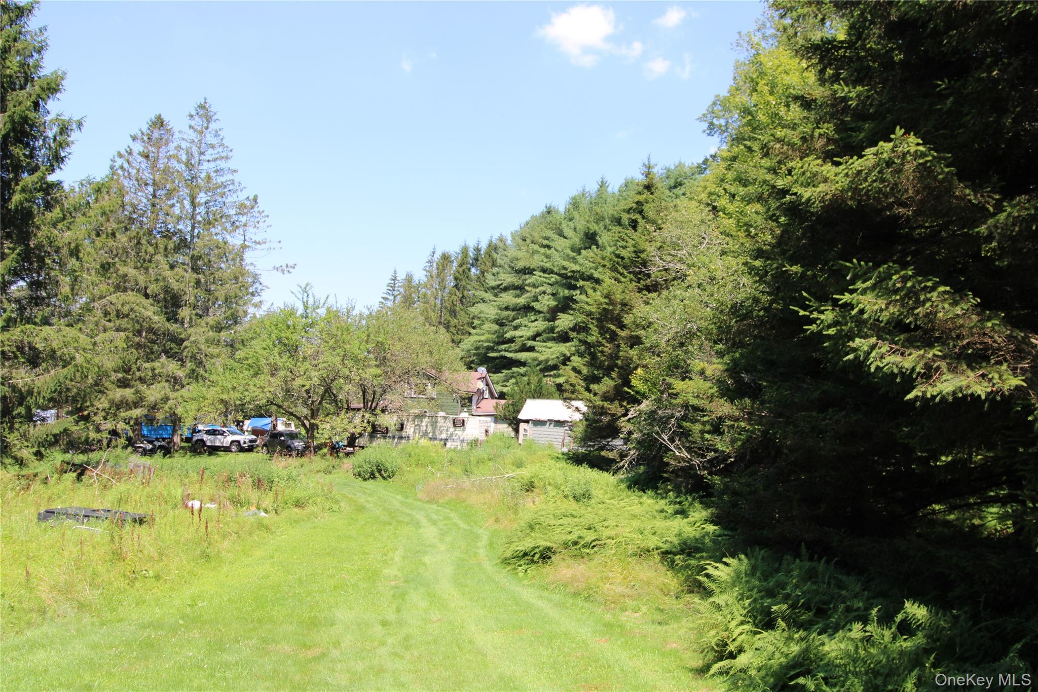 834 Cooley Road, Parksville, NY 12768