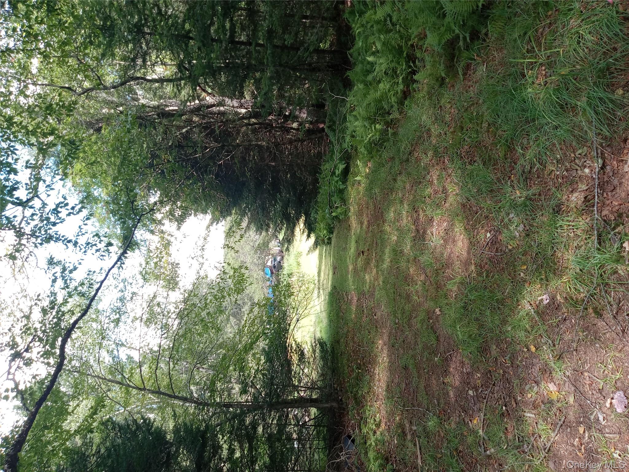 834 Cooley Road, Parksville, NY 12768