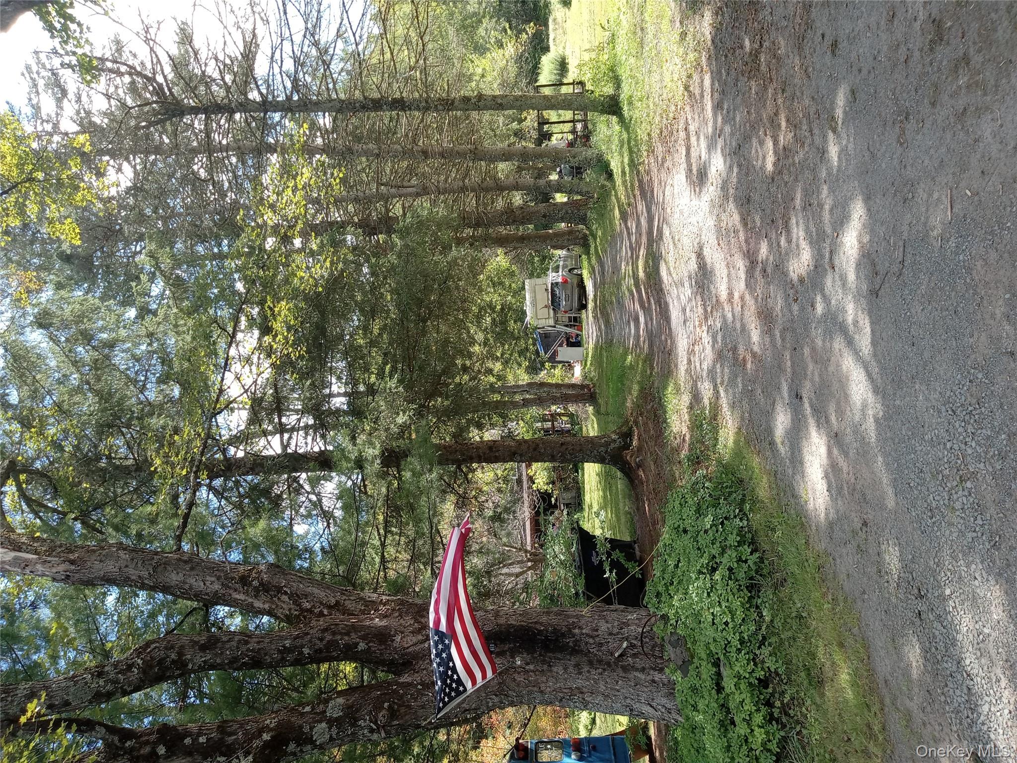 834 Cooley Road, Parksville, NY 12768