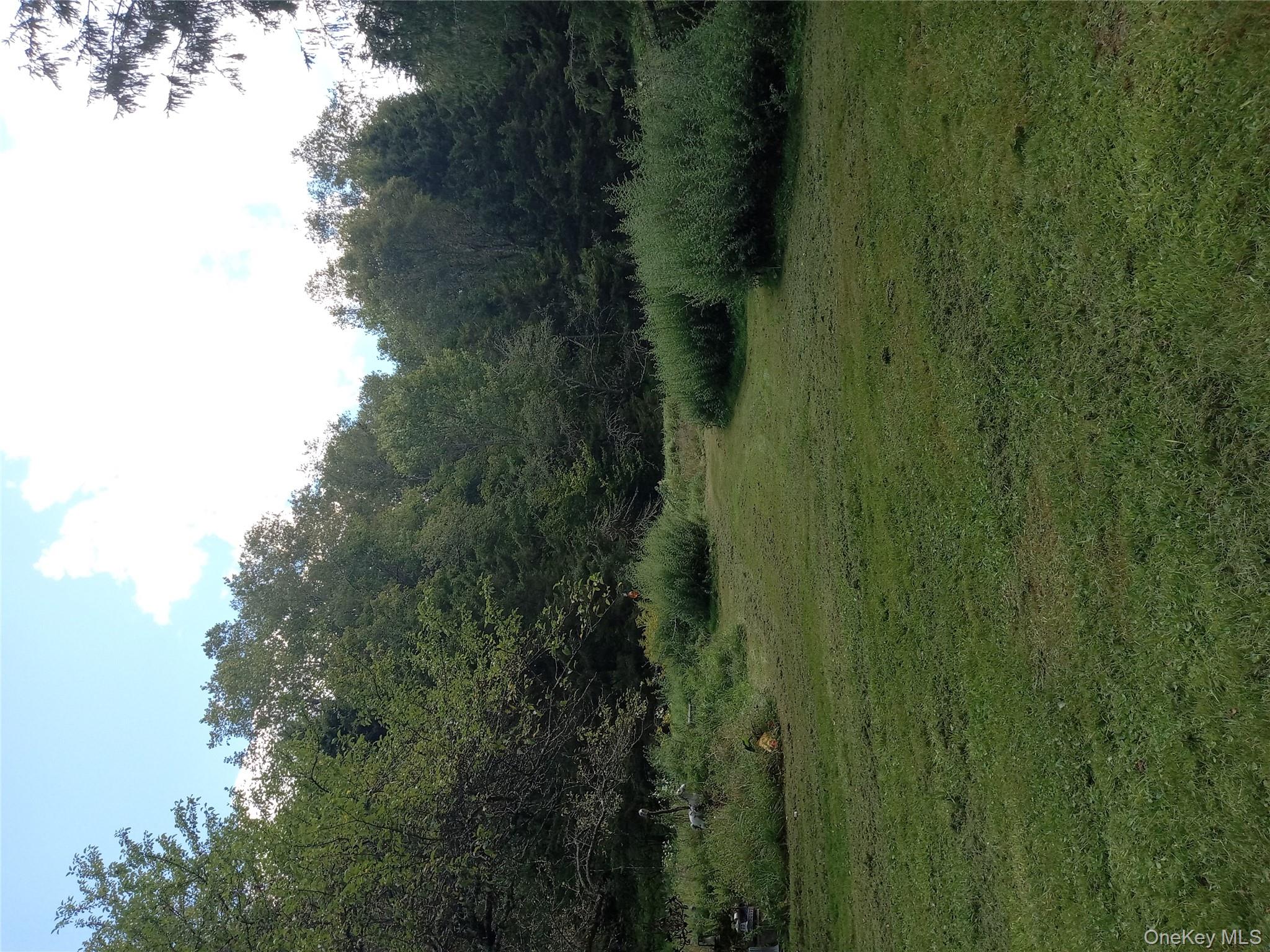 834 Cooley Road, Parksville, NY 12768