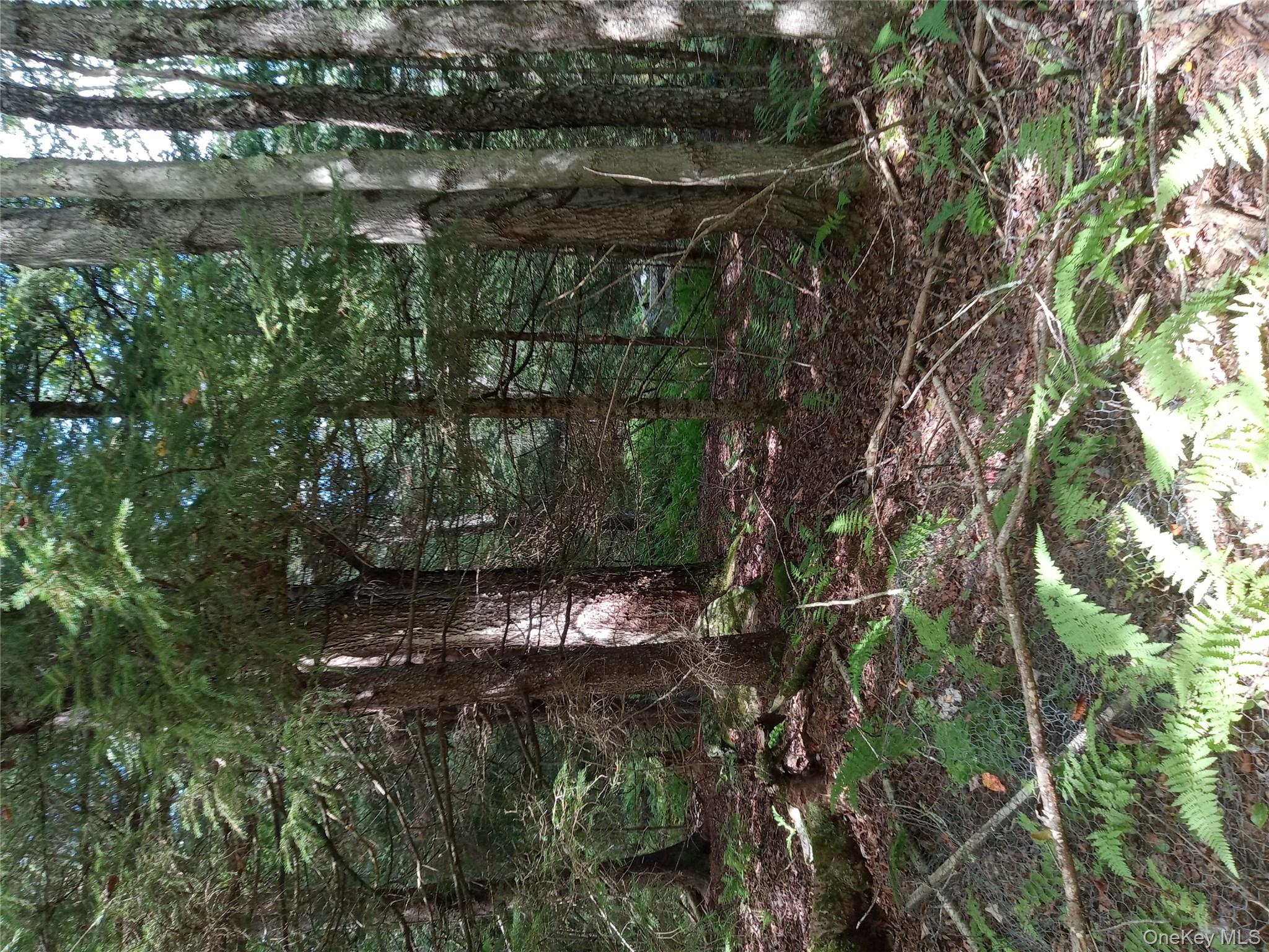 834 Cooley Road, Parksville, NY 12768