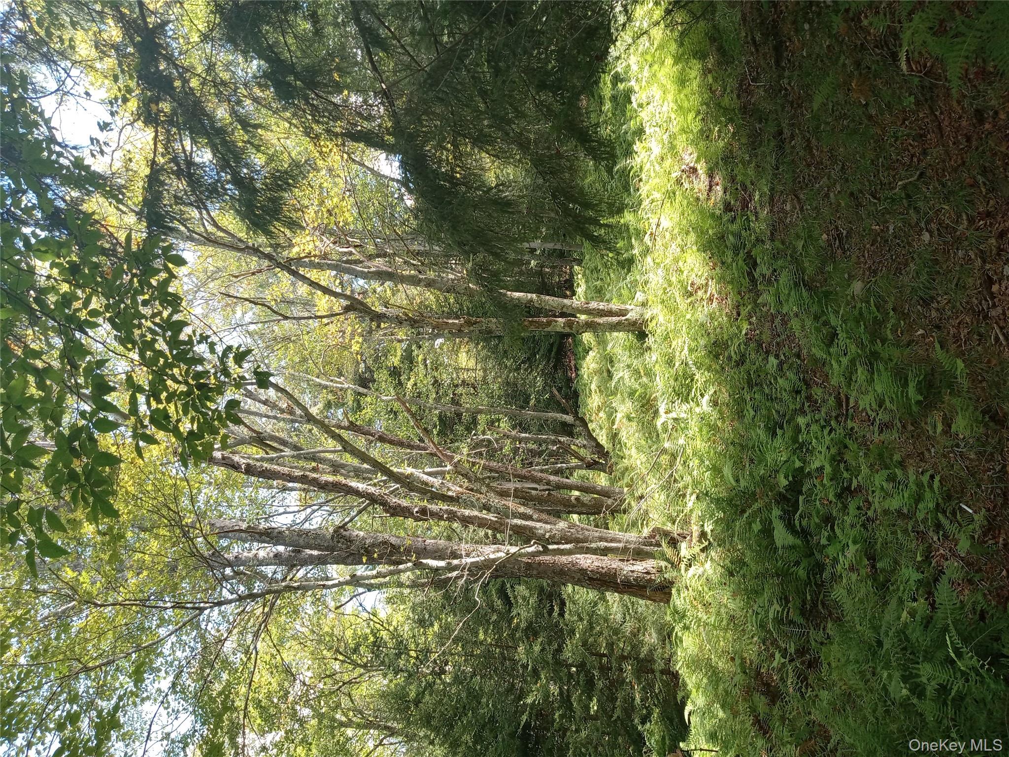 834 Cooley Road, Parksville, NY 12768