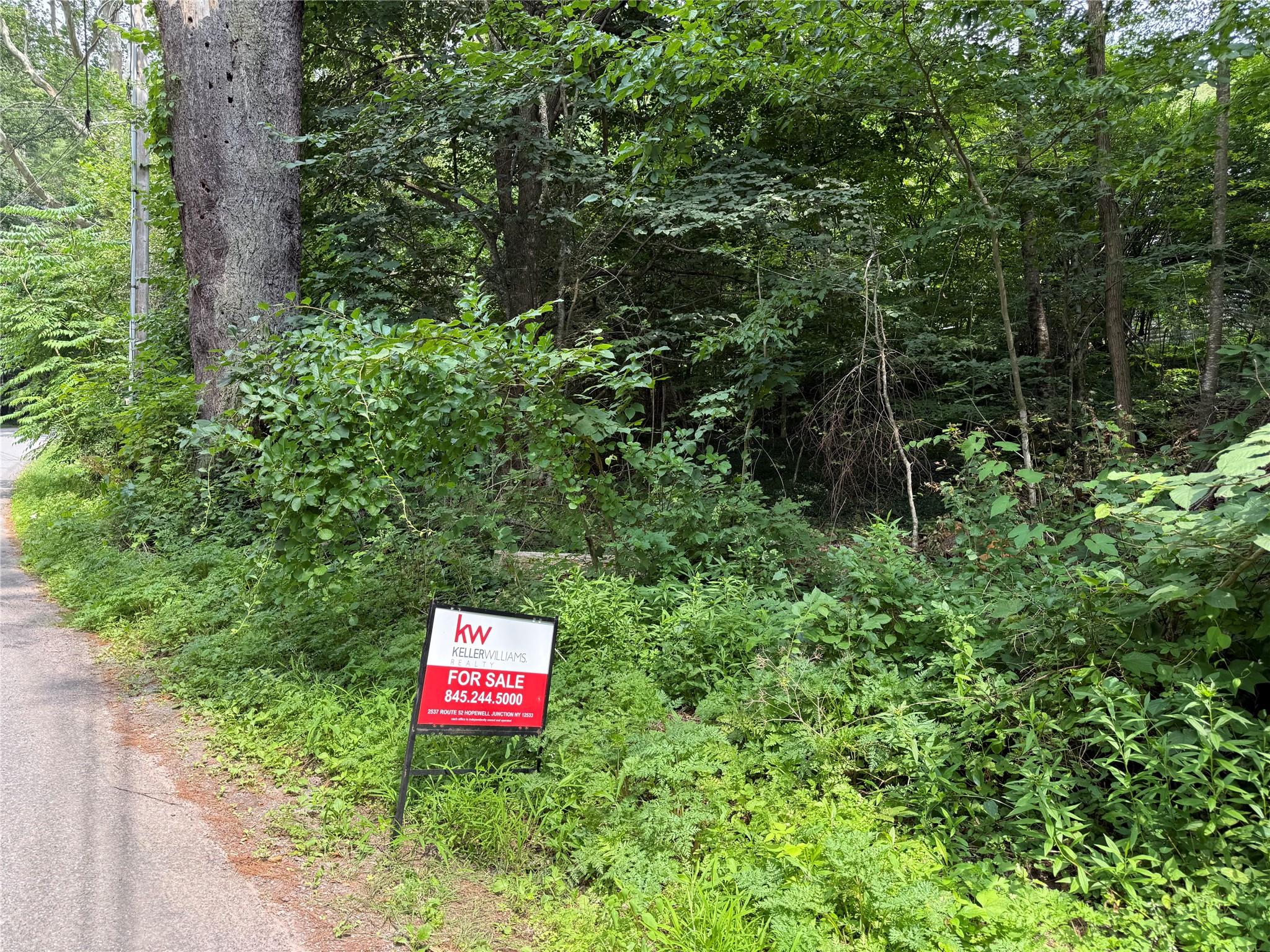 Stony Clove Lane, Chichester, NY 12480