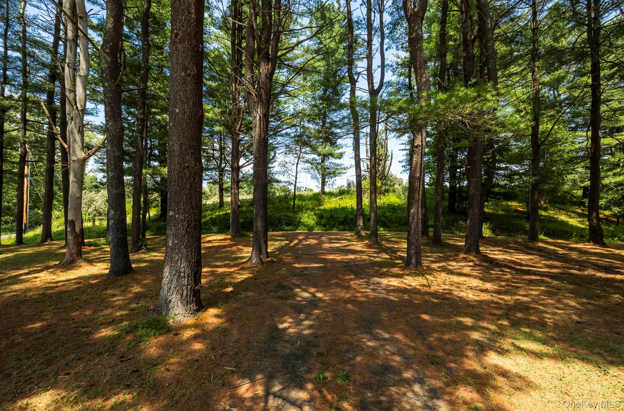 174 County Route 11, Pine Plains, NY 12567