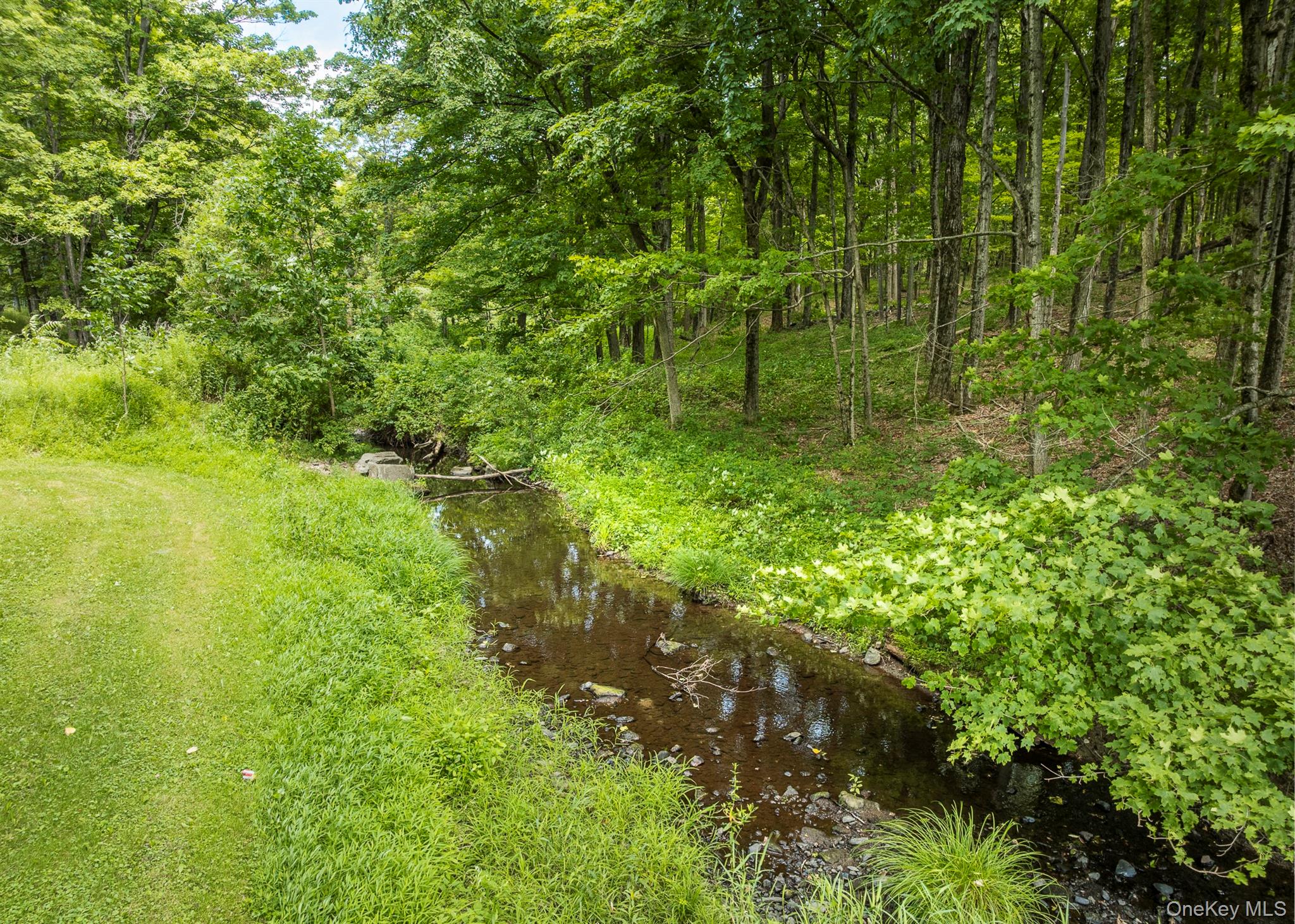 174 County Route 11, Pine Plains, NY 12567