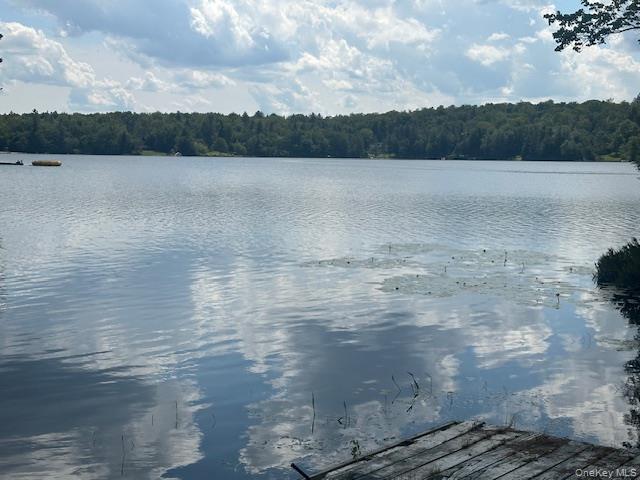 94 Park Drive, Parksville, NY 12768