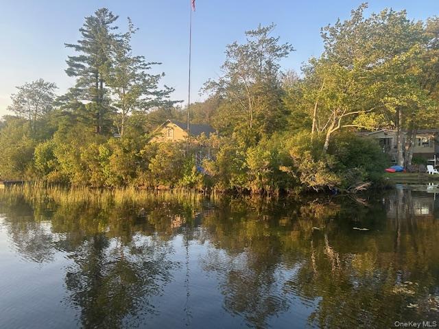 94 Park Drive, Parksville, NY 12768