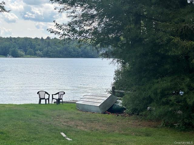 94 Park Drive, Parksville, NY 12768