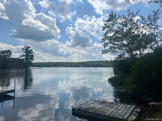 94 Park Drive, Parksville, NY 12768