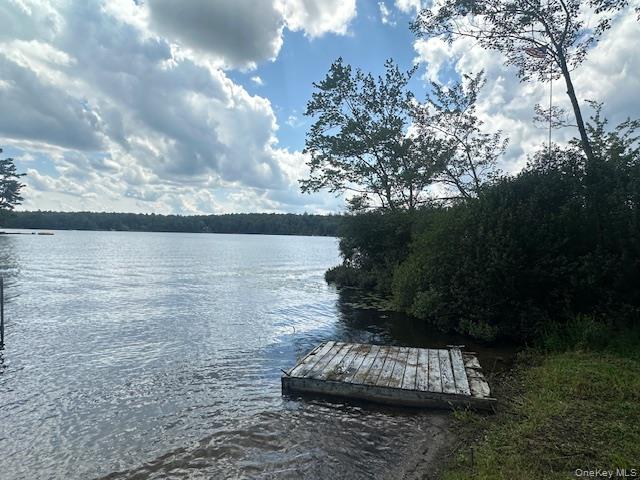 94 Park Drive, Parksville, NY 12768