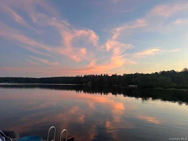 94 Park Drive, Parksville, NY 12768