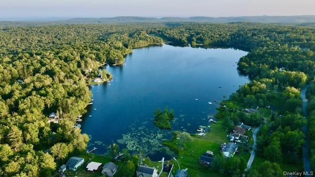 94 Park Drive, Parksville, NY 12768